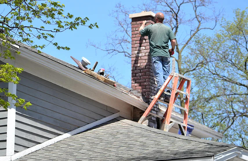 Chimney & Fireplace Inspections Services in Mount Vernon, WA